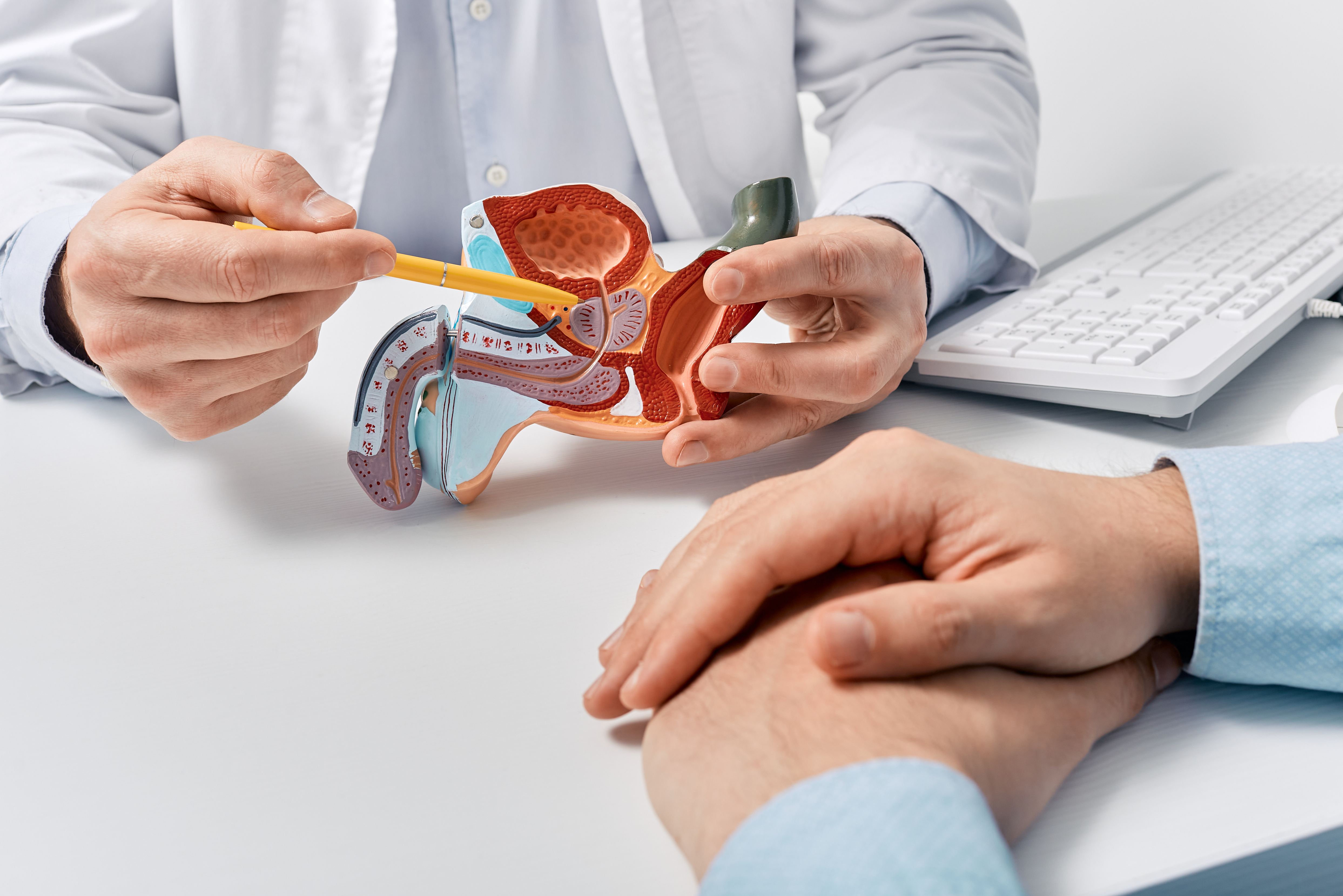 Prostate Artery Embolization